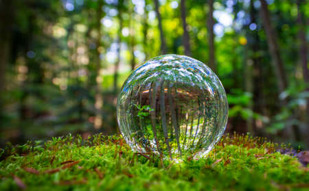 Glass lens ball with forest reflection - ecological conceptの写真素材