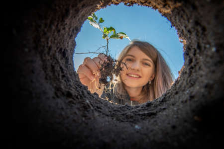 Girl holding tree seedling - planting forestの写真素材
