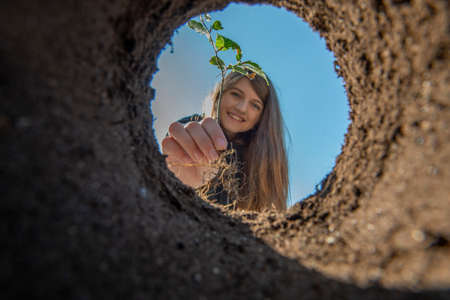Girl holding tree seedling - planting forestの写真素材