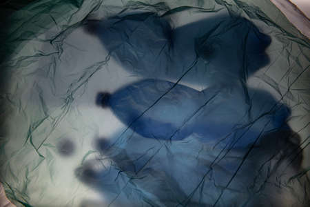 plastic bottles and plastic bags - ecology background - recycling