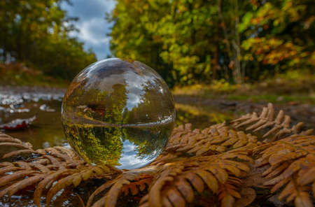 Glass lens ball with forest reflection - ecological conceptの写真素材