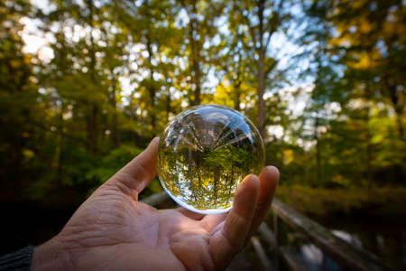 Glass lens ball with forest reflection - ecological conceptの写真素材