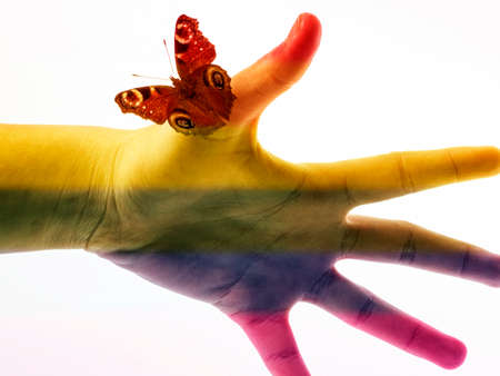 LGBT - butterfly on a handの写真素材