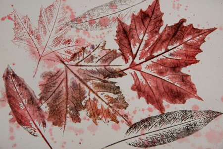 artistic image - imprints of leaves - Graphics - monoprintの写真素材