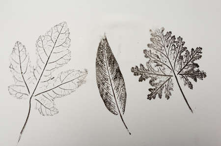 artistic image - imprints of leaves - Graphics - monoprintの写真素材