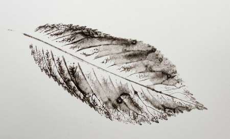 artistic image - imprints of leaves - Graphics - monoprintの写真素材