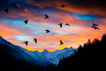 mountain in sunset timeの写真素材