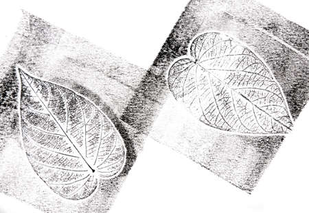a leaf printed on paperの写真素材