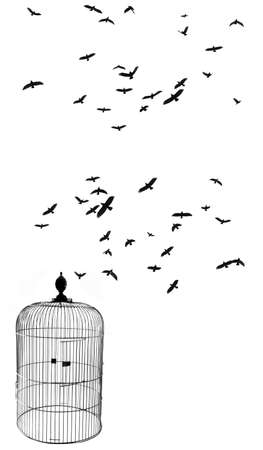 empty bird cage with open door isolated on a white backgroundの写真素材