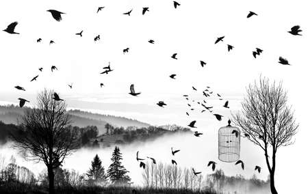 black silhouettes of flying birds and trees and open cageの写真素材