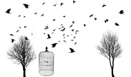 black silhouettes of flying birds and trees and open cageの写真素材