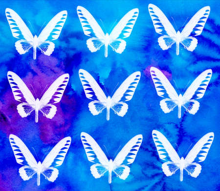 pattern background from tropical buttelflyの写真素材