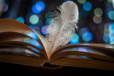 book pages. and feather vintage photo style with bokeh backgroundの写真素材