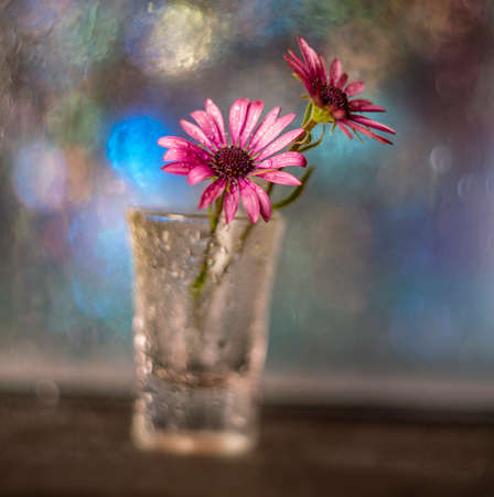 artistic picture with Shallow depth of field -flower in a glass vase and light bokehの写真素材