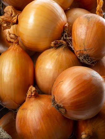 onion in a wooden box close upの写真素材