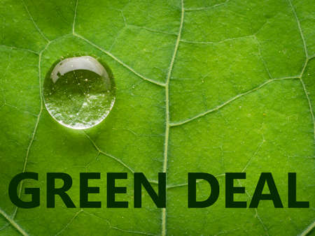 green deal - ecological conceptの写真素材