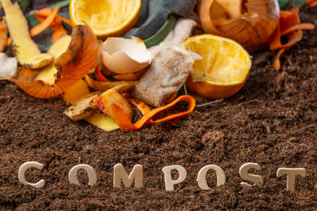 organic compost - biodegradable kitchen waste and soil
