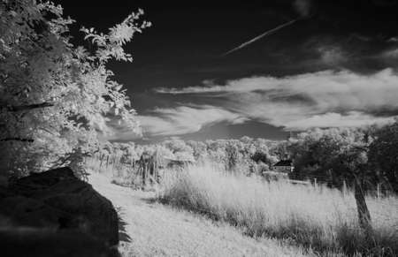 infrared photography of rural landscape, photo was taken with infrared-pass filterの写真素材
