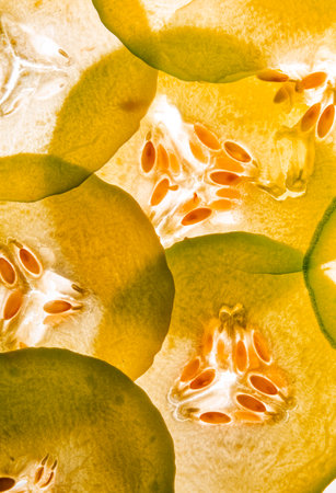 slices of green sweet melon on a white background - food backgroundの写真素材