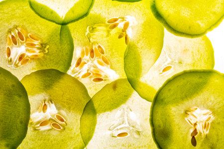 slices of green sweet melon on a white background - food backgroundの写真素材
