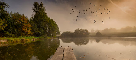 an autumnal landscape with pond and fog