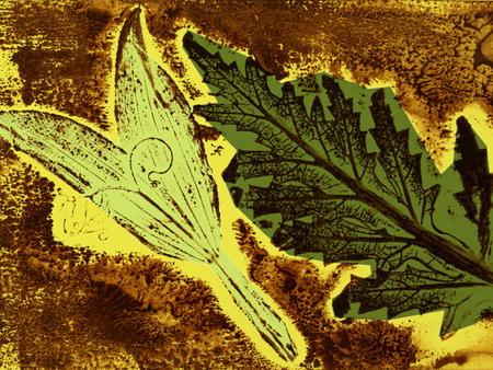 abstract art - monoprint - leaves and plants printed on paper - original artworkの写真素材