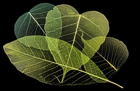 leaf texture pattern, leaf background with veins and cells - macro photography