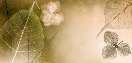 Leaf with veins and cells macro photography
