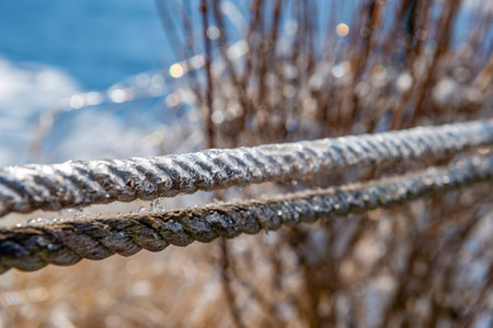 garden covered with ice in winter and blured landscapeの写真素材
