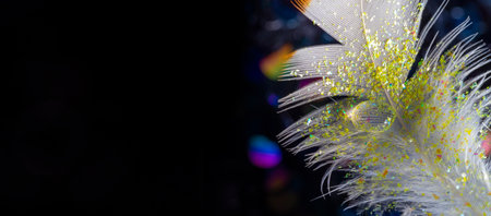 feather with rain drop and little glass glitters - beautiful macro photography