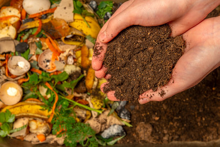 organic compost - biodegradable kitchen waste and soil. Layers of biowaste are covered with soilの写真素材