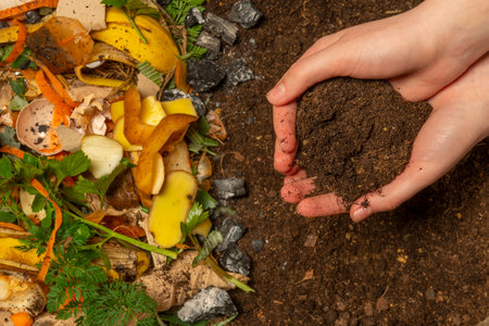 organic compost - biodegradable kitchen waste and soil. Layers of biowaste are covered with soilの写真素材