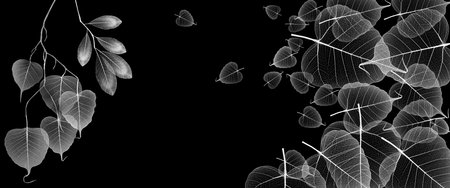 branch with leaves with textured veins and cellsの写真素材
