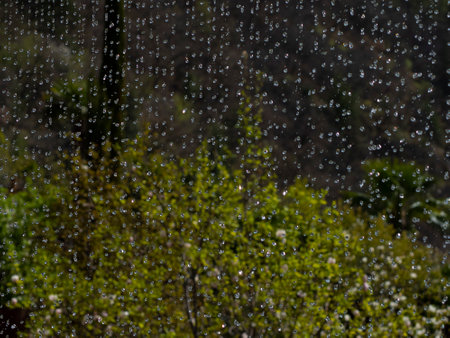 Rain in the garden. Macro photography of rain, abstract photography