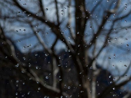Rain in the garden. Macro photography of rain, abstract photographyの写真素材