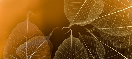 Leaf with veins and cells macro photographyの写真素材