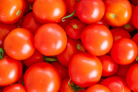 home tomatoes, different varieties from home garden - real photoの写真素材