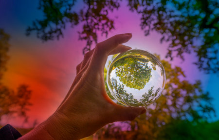Glass lens ball with forest reflection - ecological conceptの写真素材