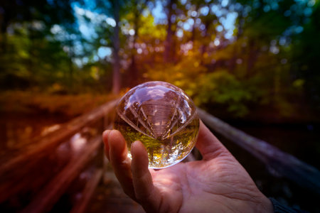 Glass lens ball with forest reflection - ecological conceptの写真素材