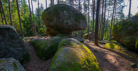 mythical stone giants and viklas and granite rock formation in Blockheide, natural reserve near GmÃ¼nd, Austriaの写真素材
