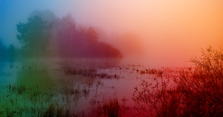 Autumn landscape with lake and trees in fogの写真素材