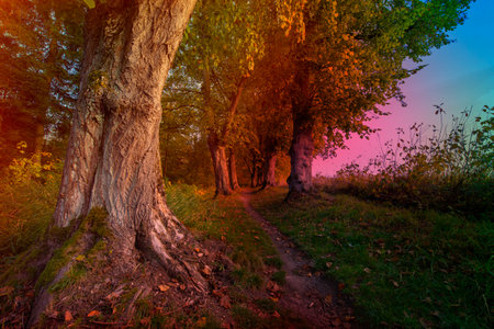 autumnal landscape in bright colorsの写真素材