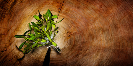 mistletoe branch on a wooden backgroundの写真素材