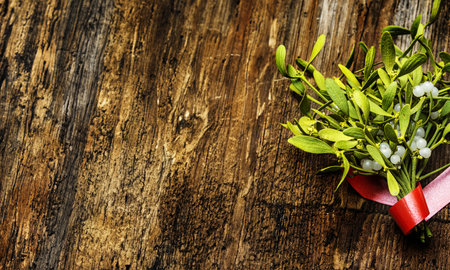 mistletoe branch on a wooden backgroundの写真素材