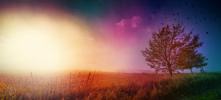 an autumnal landscape and fogの写真素材