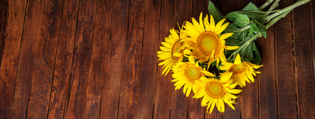 sunflowers on a wooden backgroundの写真素材