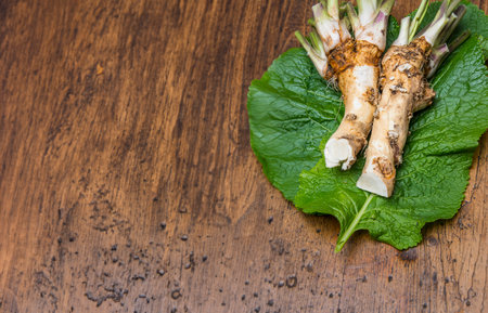 and fresh horseradish on a tableの写真素材