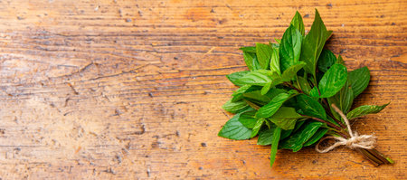 a bunch of mint on a tableの写真素材