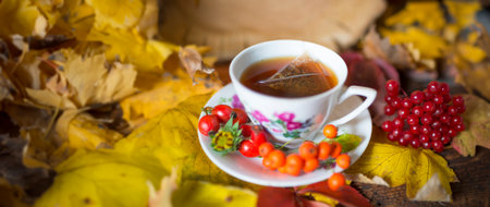 autumn still life with a cup of teaの写真素材