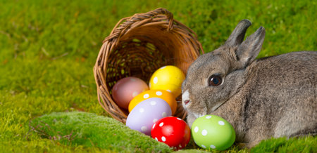 easter rabbit and easter eggsの写真素材